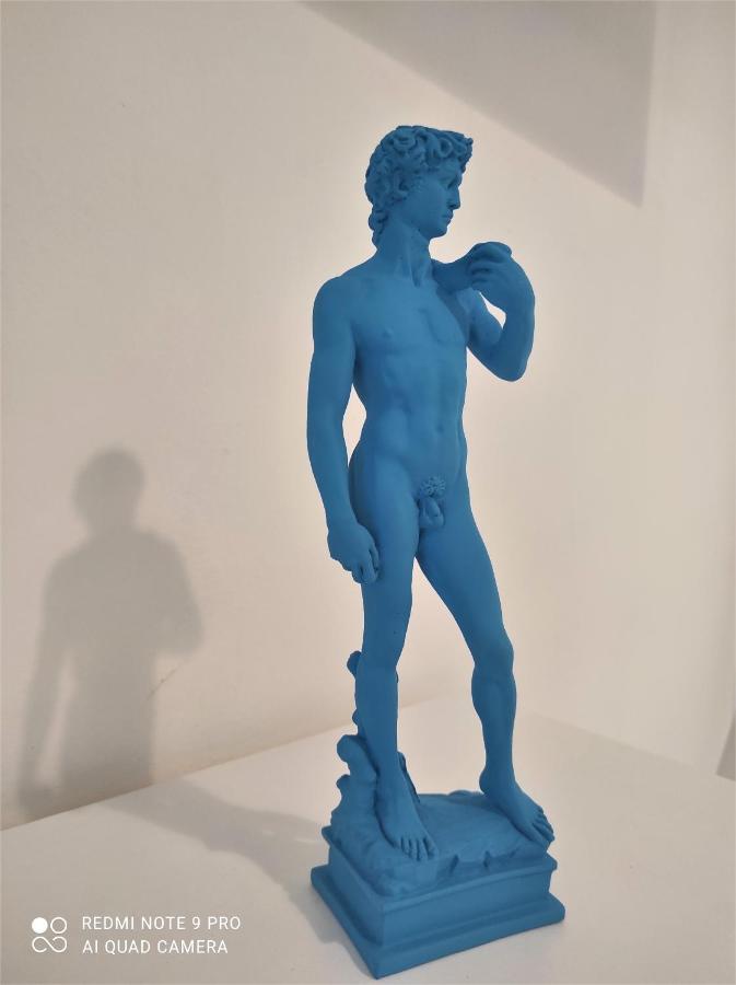 Dependace Il David Di Michelangelo Apartment ฟลอเรนซ์ ภายนอก รูปภาพ